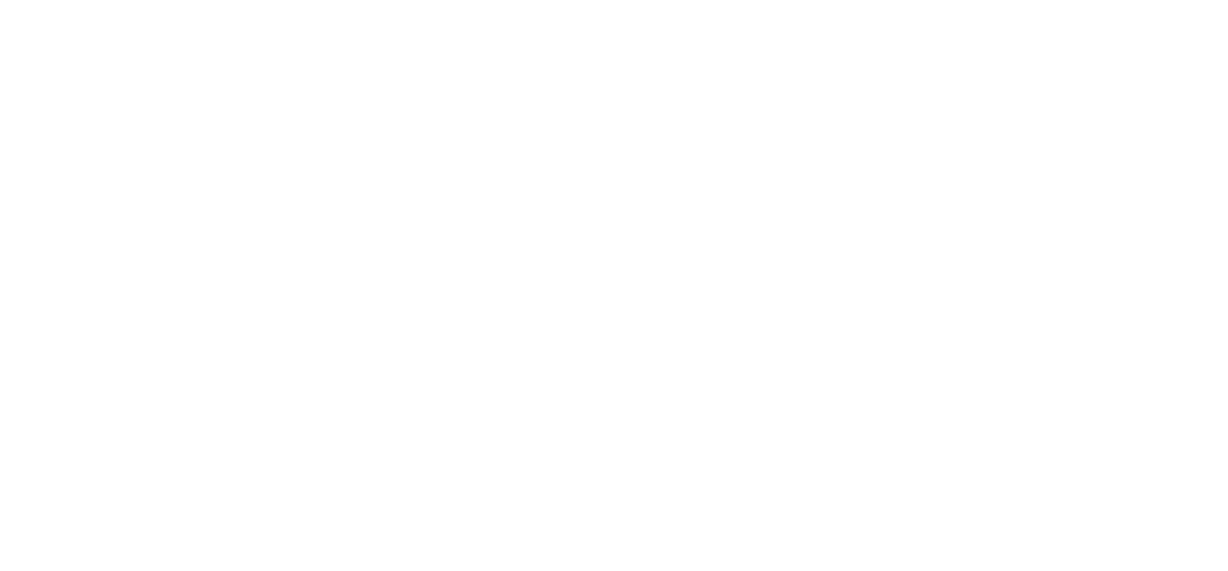 Logo blanco de Miraya Electric